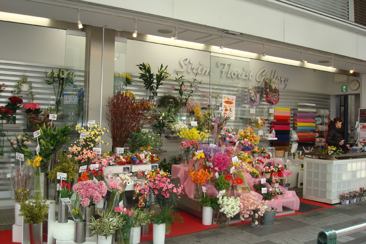 昇莉夢（シリム）