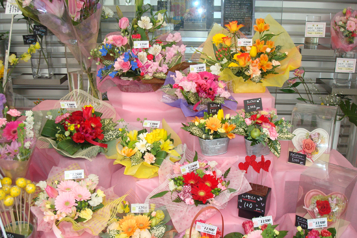 昇莉夢（シリム）