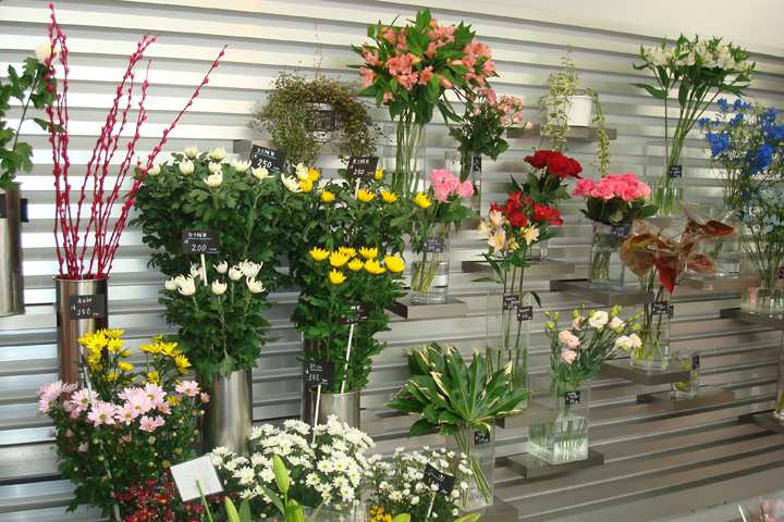 昇莉夢（シリム）