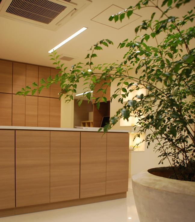 綾瀬セントラル歯科