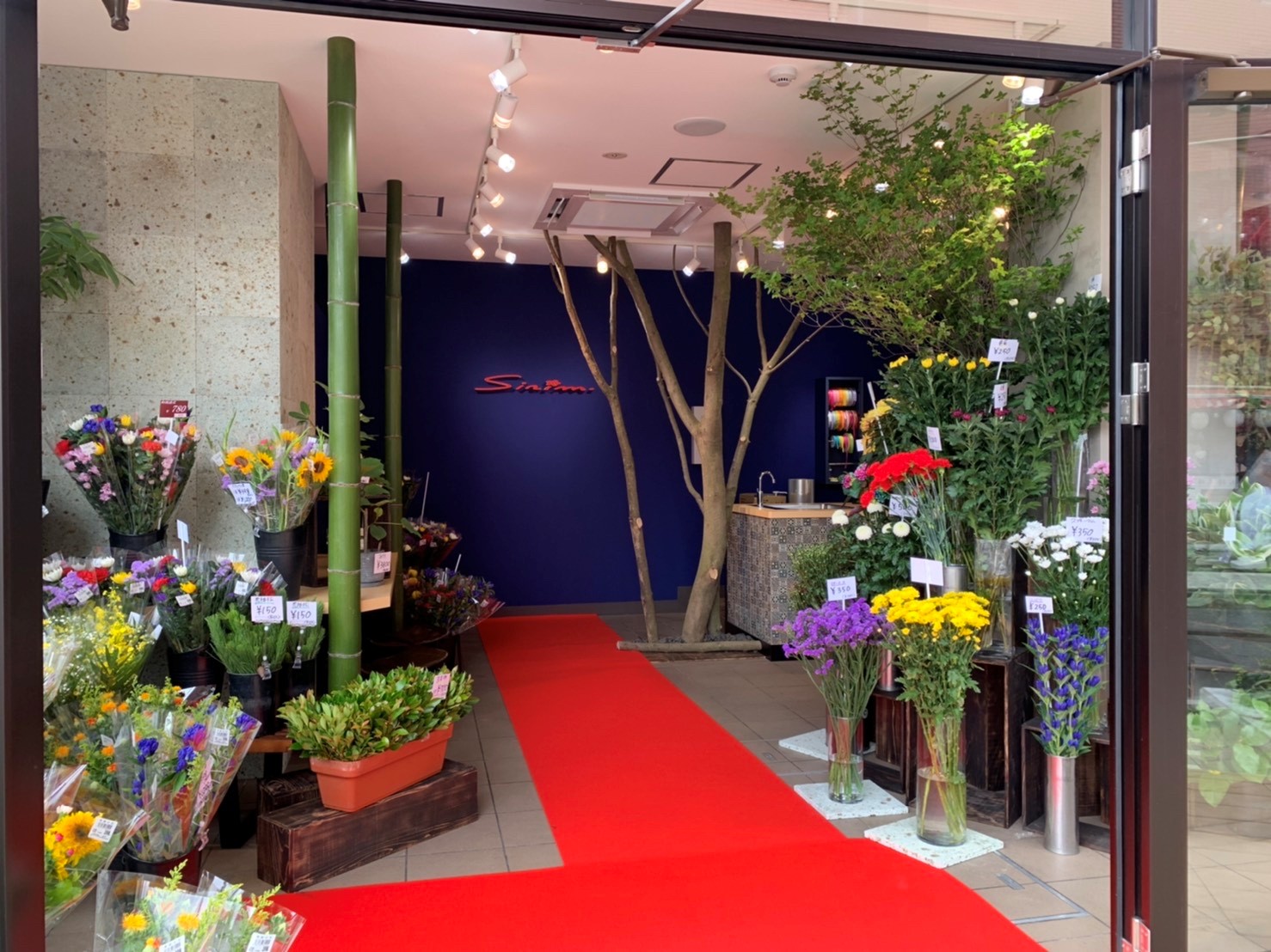 昇莉夢M’av北綾瀬Lieta