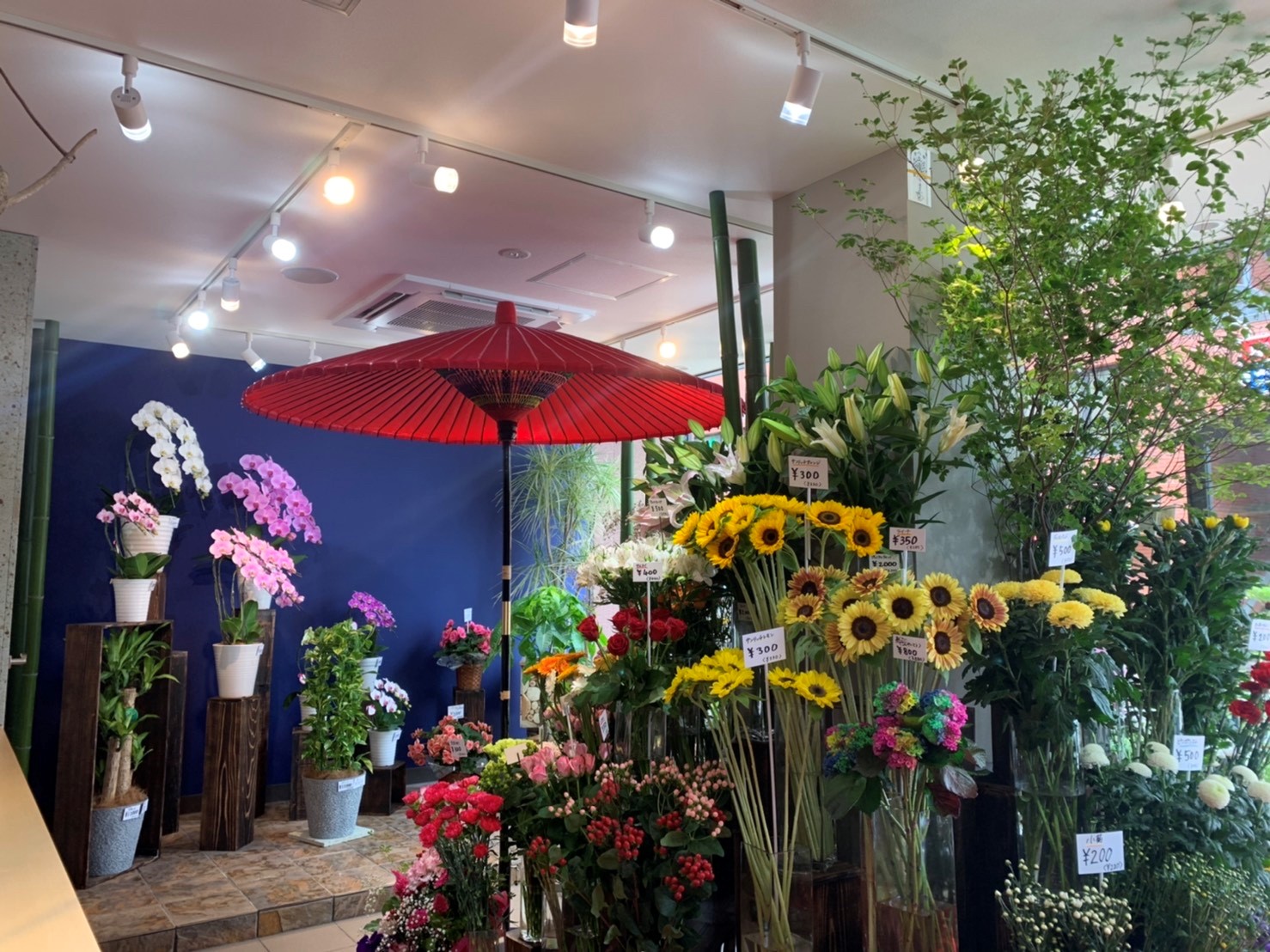 昇莉夢M’av北綾瀬Lieta