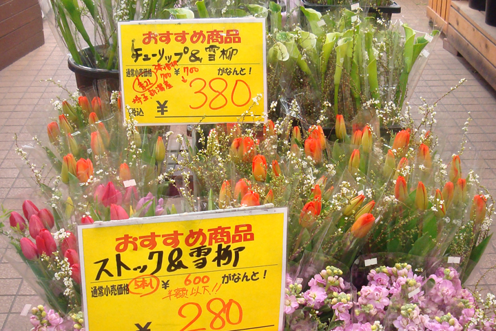 東京フラワーマーケット